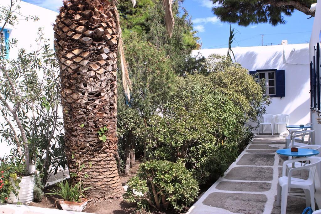 Aphrodite Garden Rooms & Apartments Mykonos Town Εξωτερικό φωτογραφία